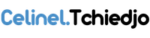 celineltchiedjo.com